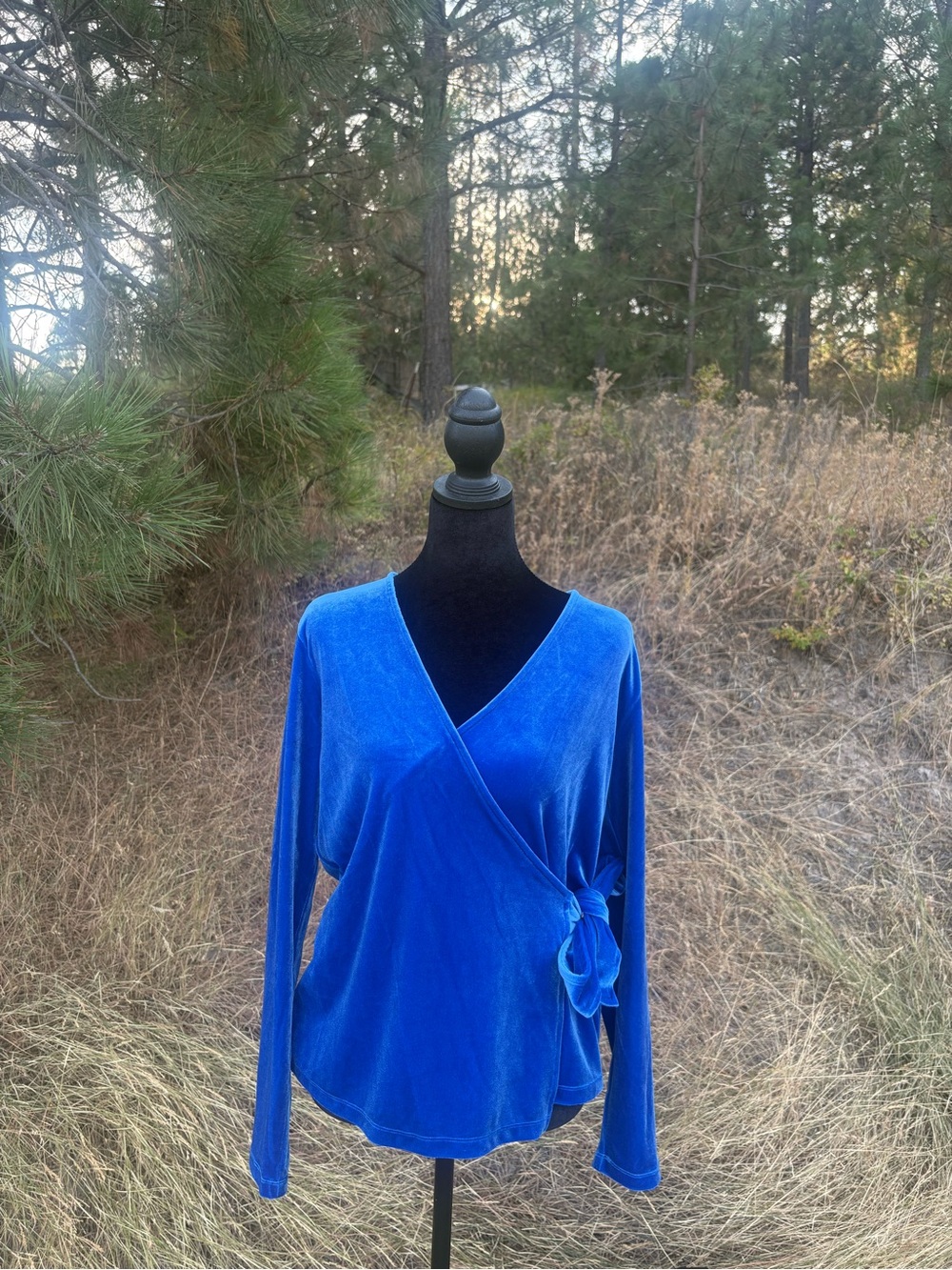 Halogen Blue Velvet Wrap Blouse Long Sleeve Tie Waist